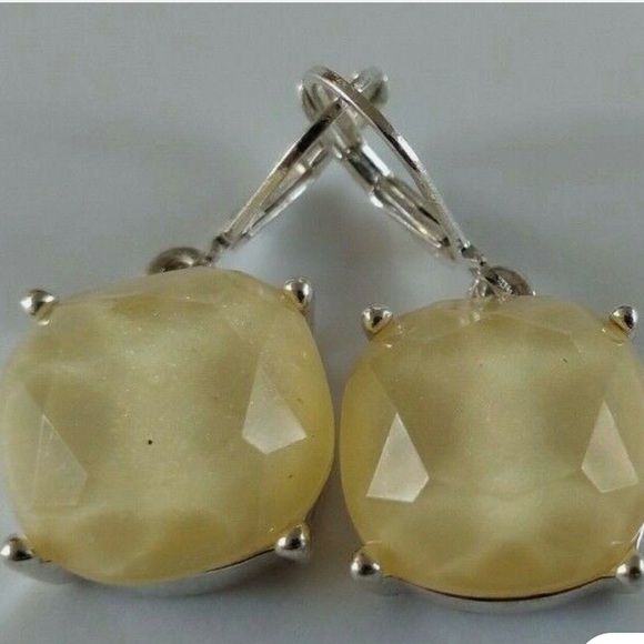 Joan Rivers Jewelry - Joan Rivers Lever Back Earrings